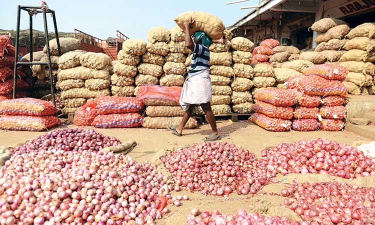 india gulf onion export extend