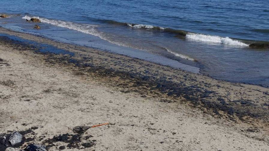 uae captains oil spill beaches
