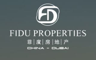 dubai fidu properties market