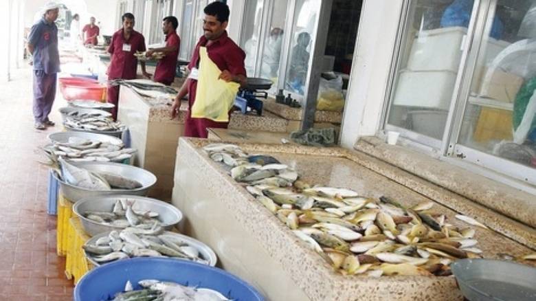 uae fish stocks percent moccae