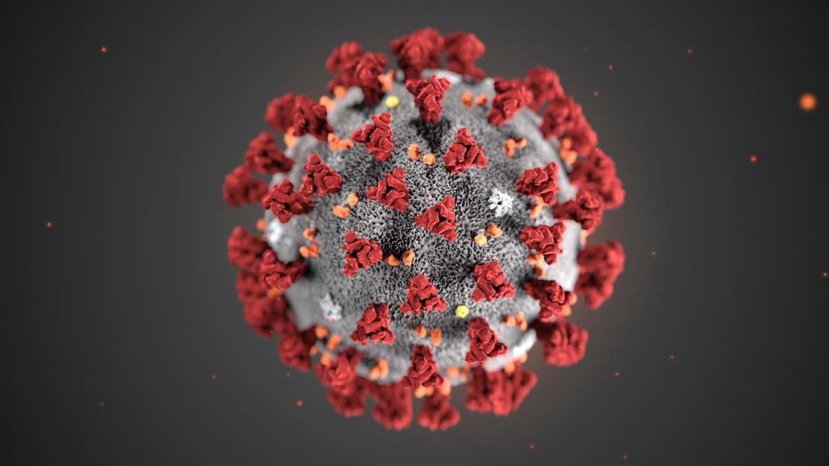 coronavirus national study bvirusb relatively