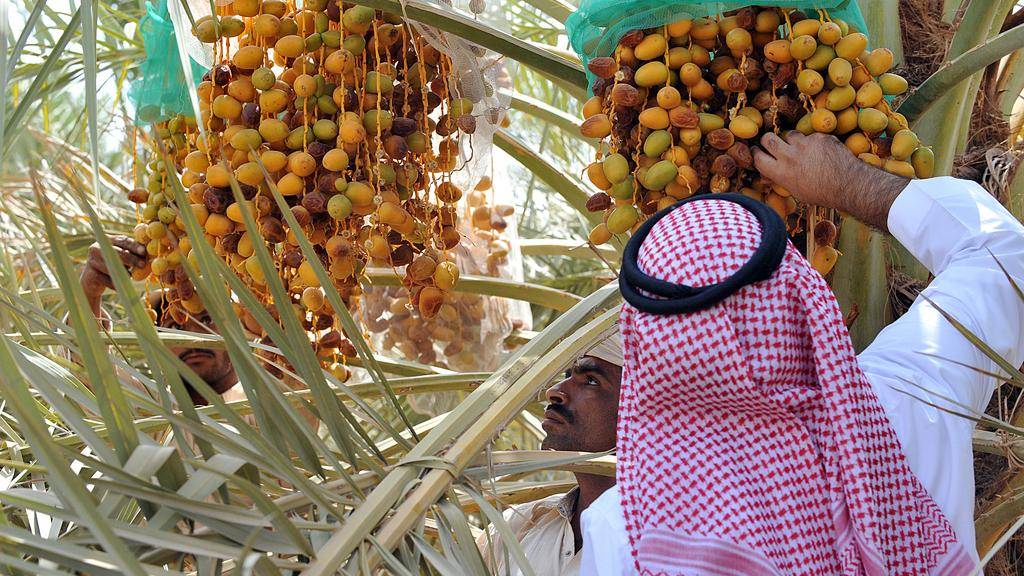 uae agriculture investment tech secures