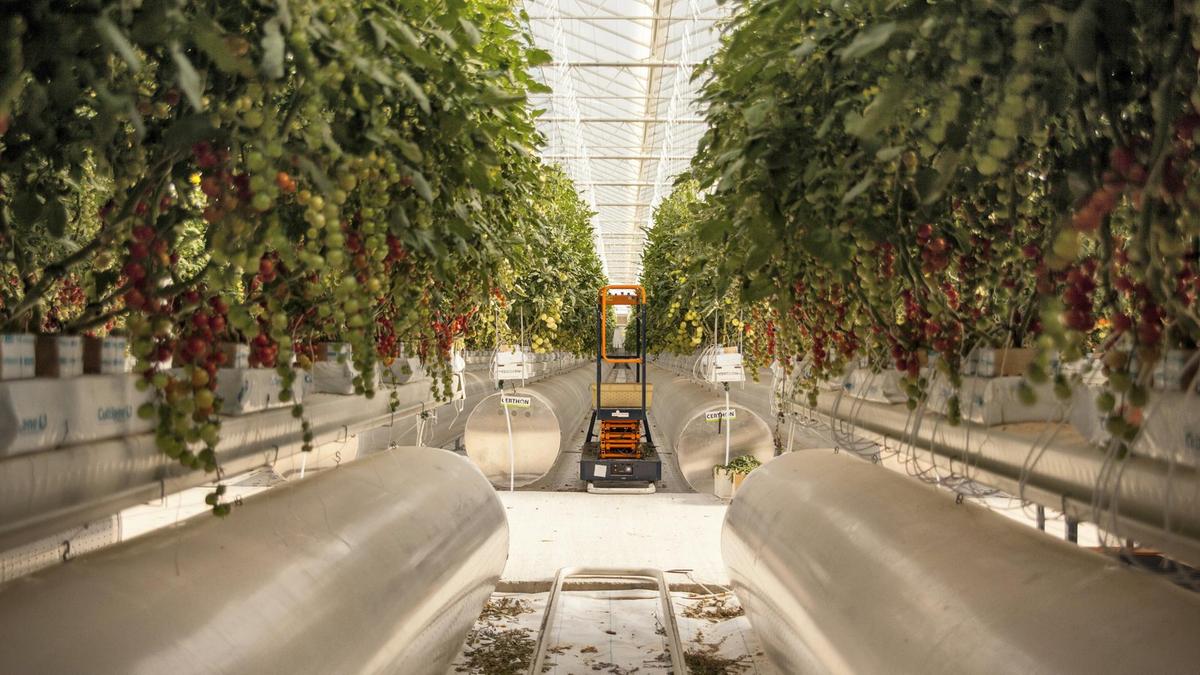 uae agriculture tech secures investment