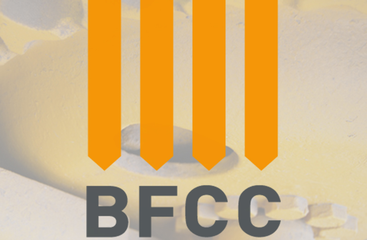 bfcc success brand identity bnew