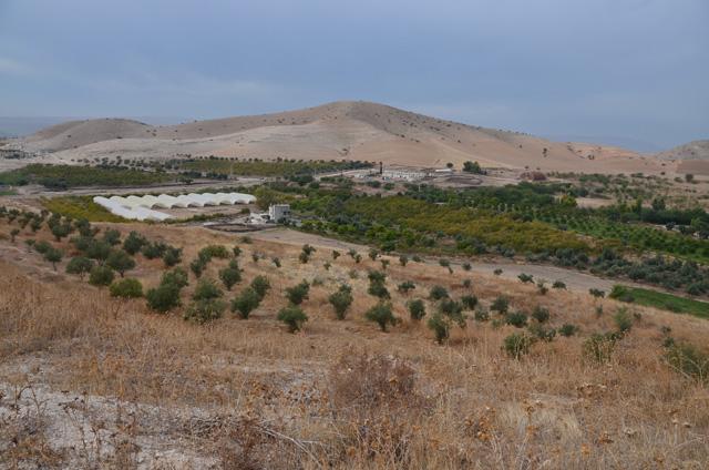Jordan Valley 