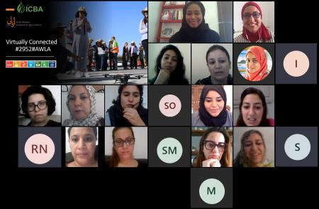 alumnae women arab researchers virtual