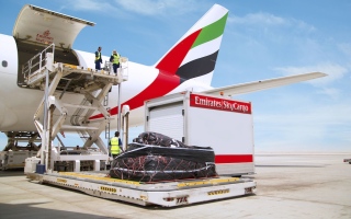 cargo emirates skycargo continents flights