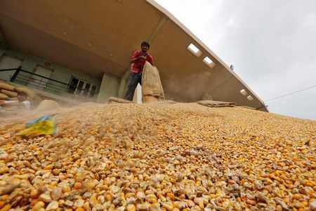 india corn imports poultry much