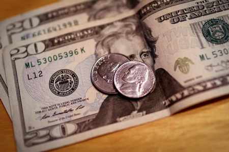 dollar haven bid resurgent virus