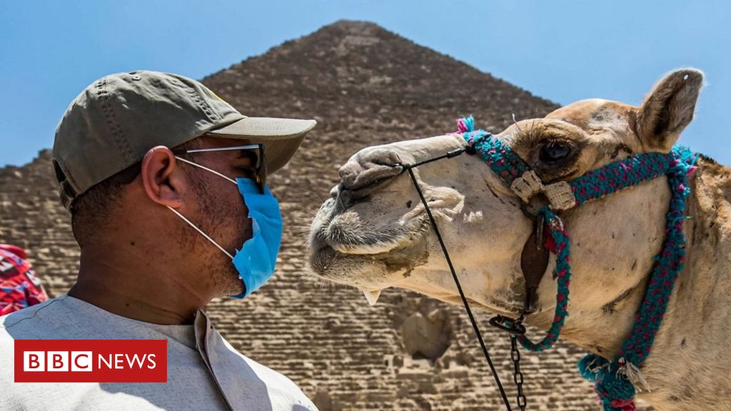 egypt coronavirus tourism industry hit