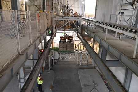 oman cement raysut production capacity