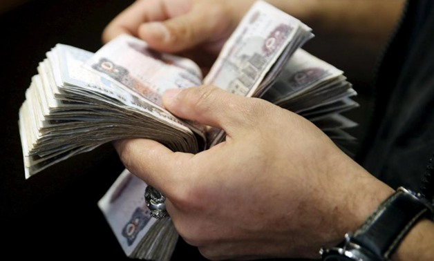 egypt finance consumption stimulus fund