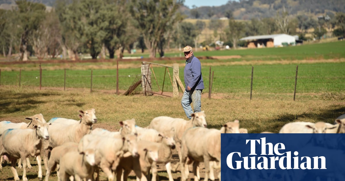 china australian trade wool exports