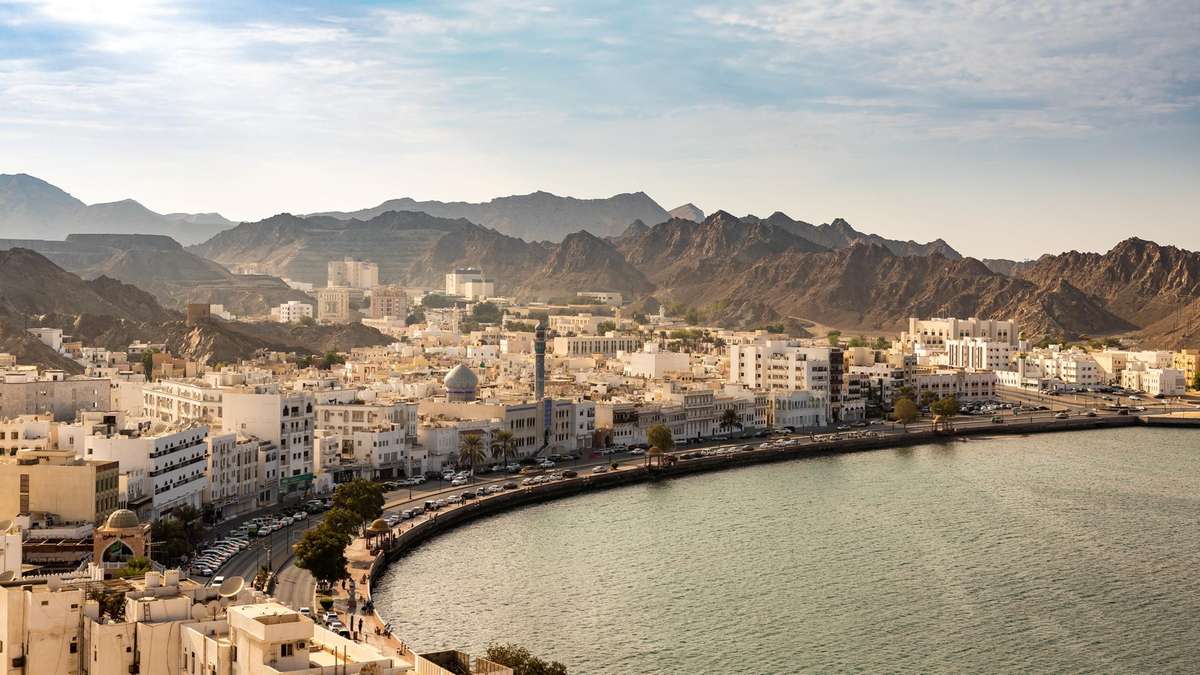 oman investment authority companies boards