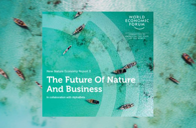 nature businesses world economic jobs