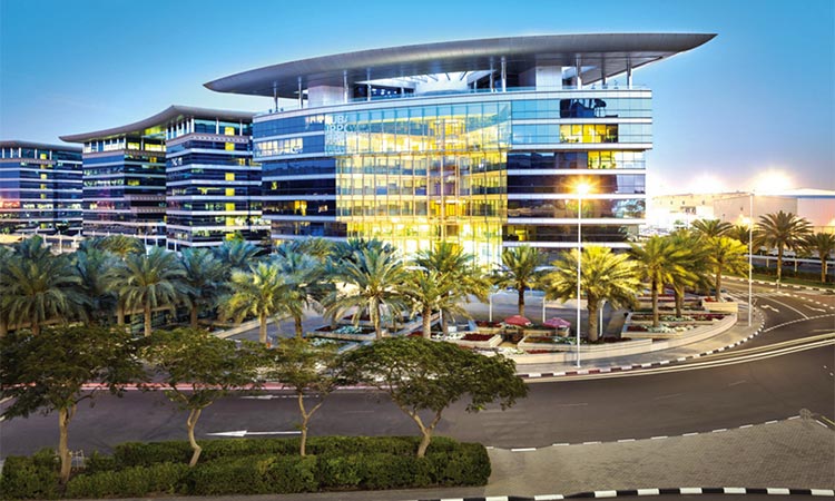 dafza, growth, sales, registered, significant,